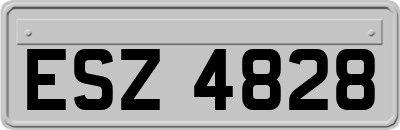 ESZ4828