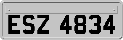 ESZ4834