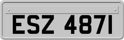 ESZ4871