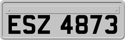 ESZ4873