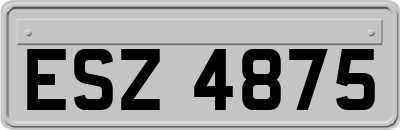 ESZ4875