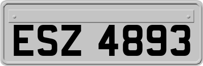 ESZ4893