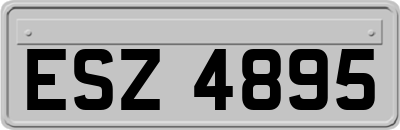 ESZ4895