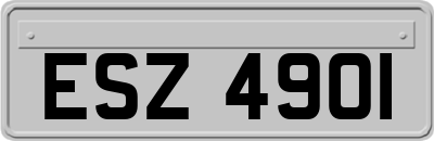 ESZ4901