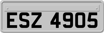 ESZ4905