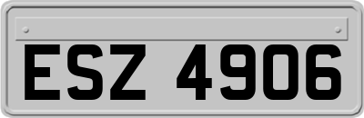 ESZ4906