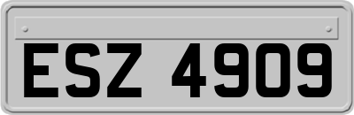 ESZ4909