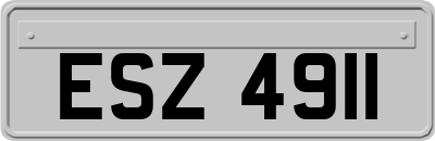 ESZ4911