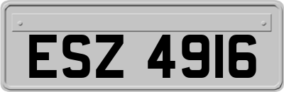 ESZ4916