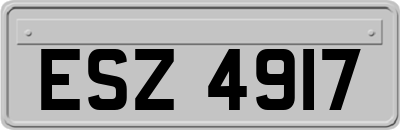 ESZ4917