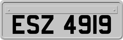 ESZ4919