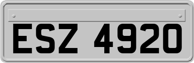 ESZ4920