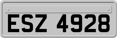 ESZ4928