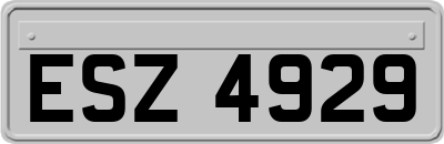 ESZ4929