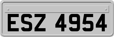ESZ4954