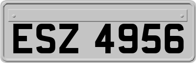 ESZ4956