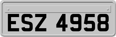 ESZ4958