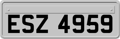 ESZ4959