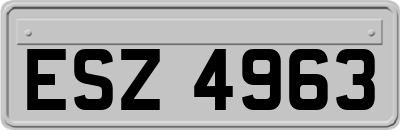 ESZ4963