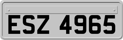 ESZ4965