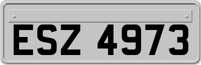 ESZ4973