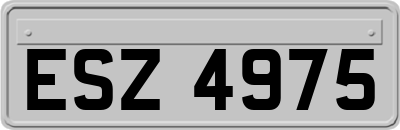 ESZ4975