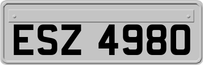 ESZ4980