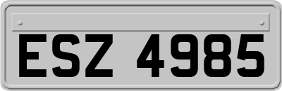 ESZ4985