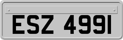 ESZ4991