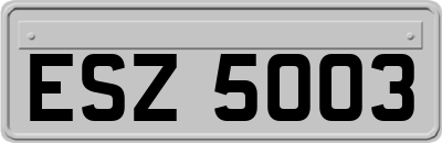 ESZ5003