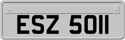 ESZ5011