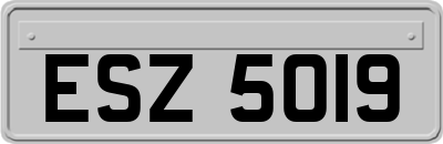 ESZ5019