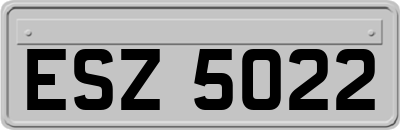 ESZ5022