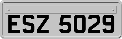 ESZ5029