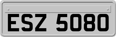 ESZ5080