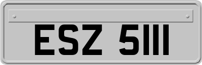 ESZ5111