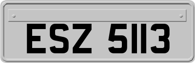 ESZ5113