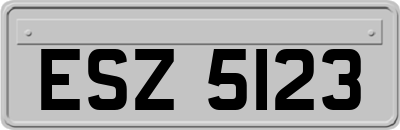 ESZ5123