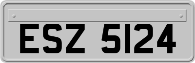 ESZ5124