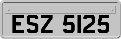 ESZ5125