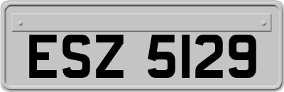ESZ5129