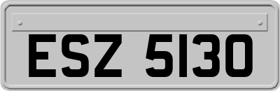 ESZ5130