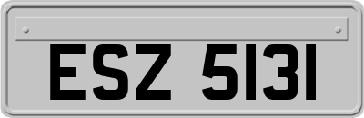 ESZ5131