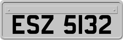 ESZ5132