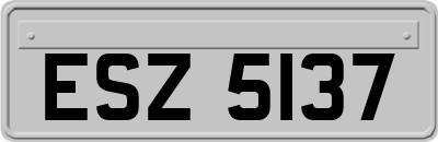 ESZ5137