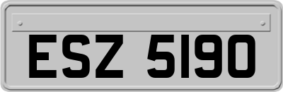 ESZ5190