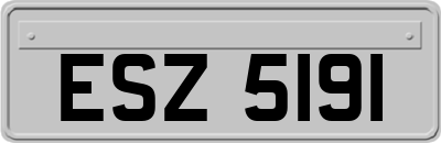 ESZ5191