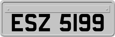 ESZ5199
