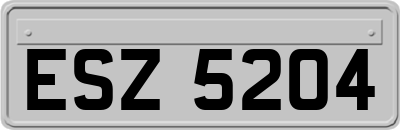 ESZ5204