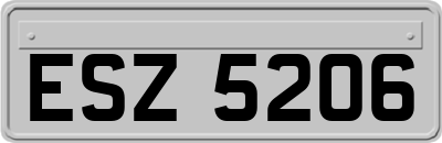 ESZ5206